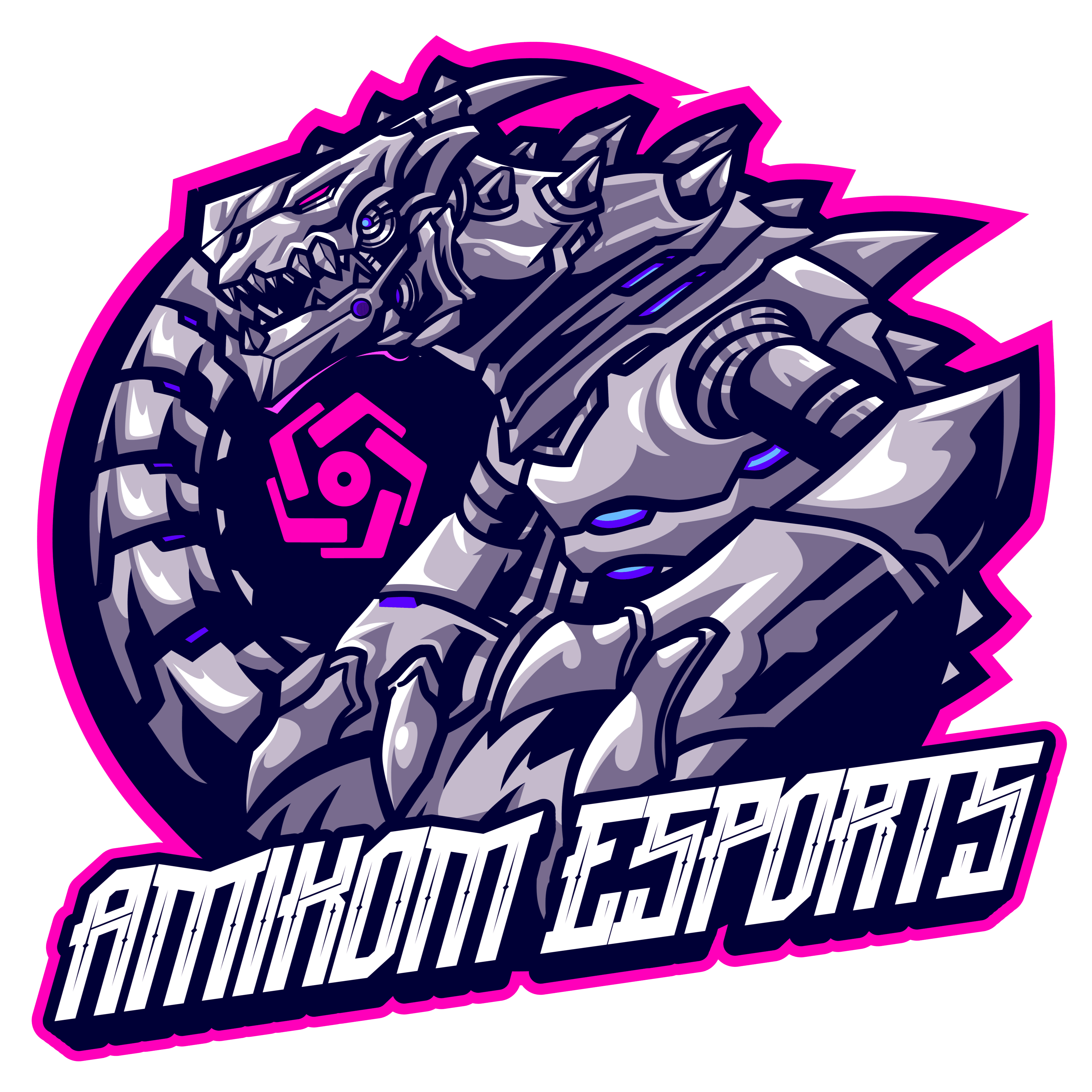 AMIKOMESPORT